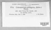Image Associated With the Occurence
